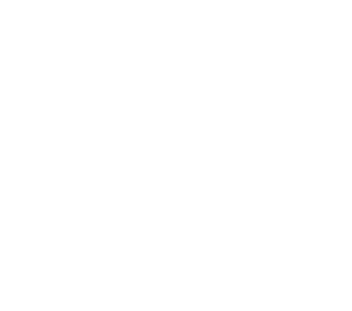 Field 216 Logo White